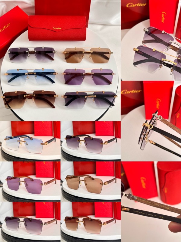 Cartier Glasses 08smh65 (10)