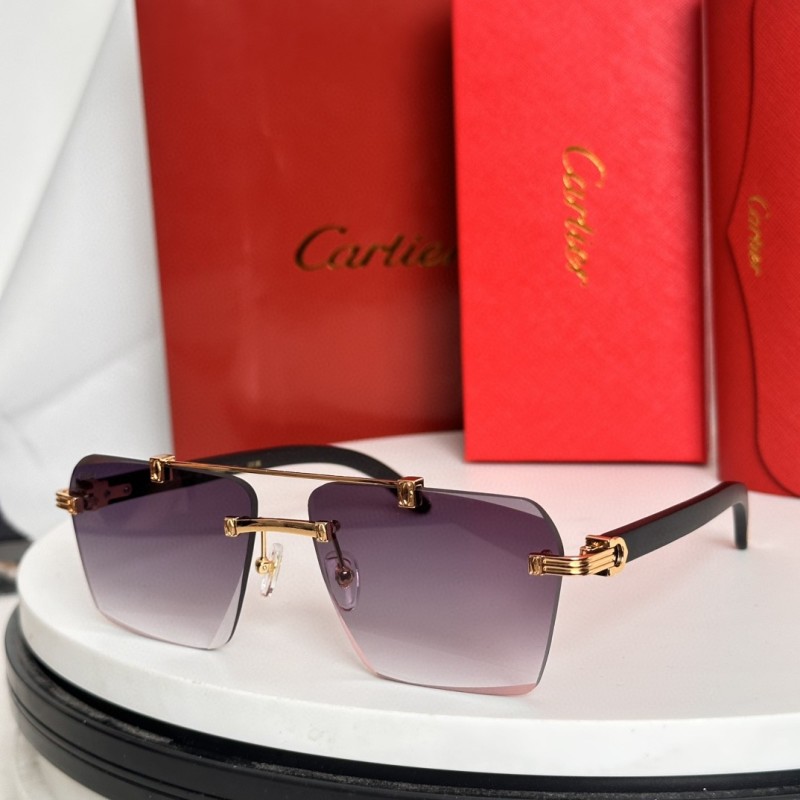 Cartier Glasses 08smh65 (2)