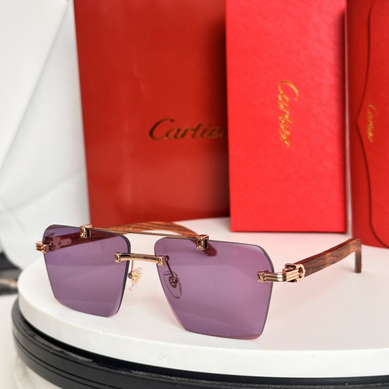 Cartier Glasses 08smh65 (3)