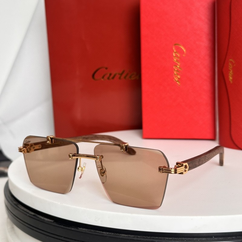 Cartier Glasses 08smh65 (4)