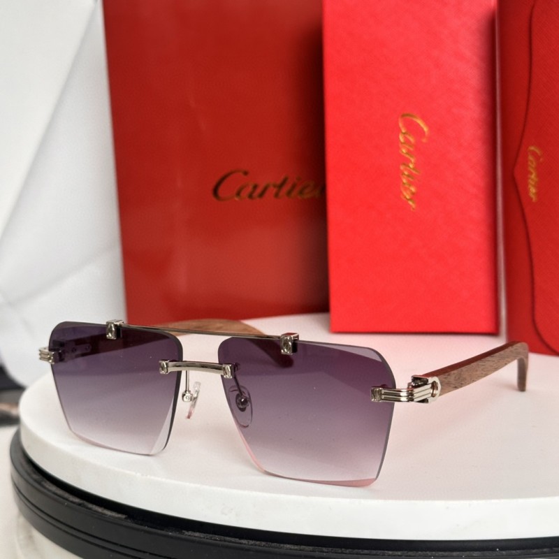 Cartier Glasses 08smh65 (5)