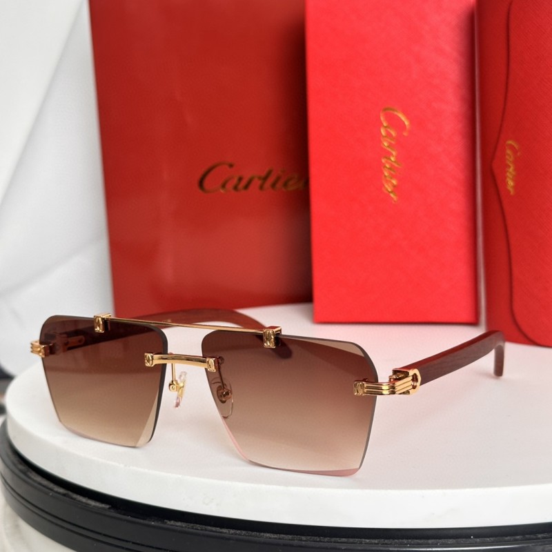 Cartier Glasses 08smh65 (6)