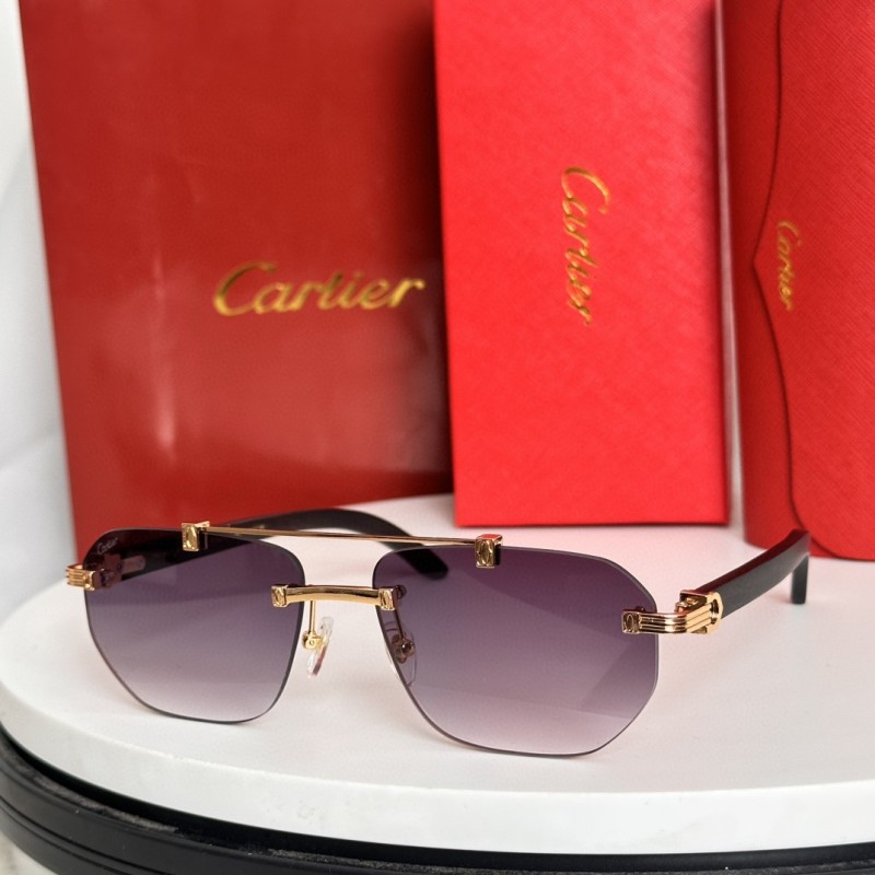 Cartier Glasses 08smh66 (1)