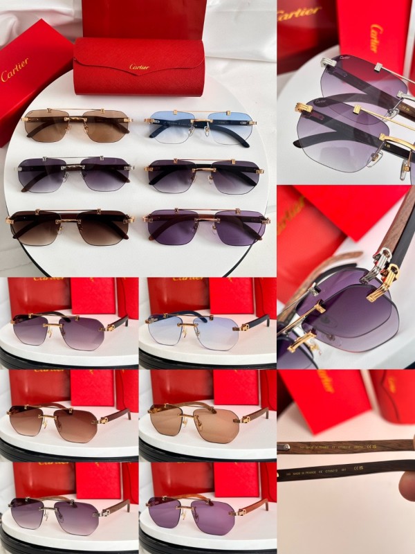 Cartier Glasses 08smh66 (10)