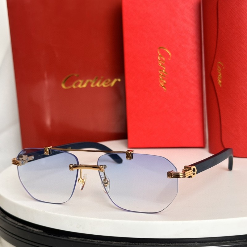 Cartier Glasses 08smh66 (2)