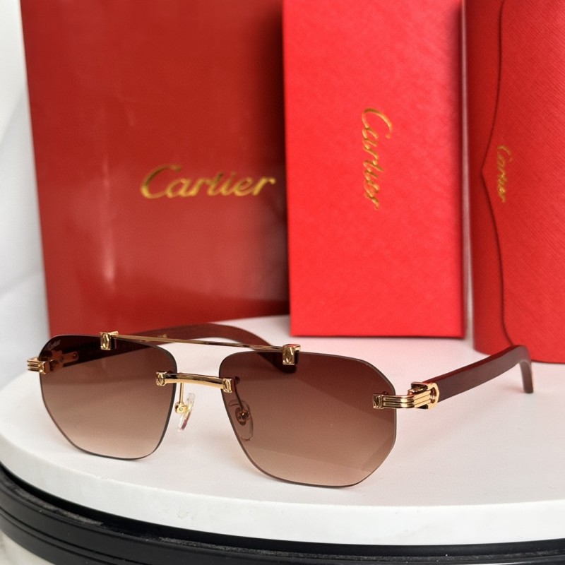 Cartier Glasses 08smh66 (3)