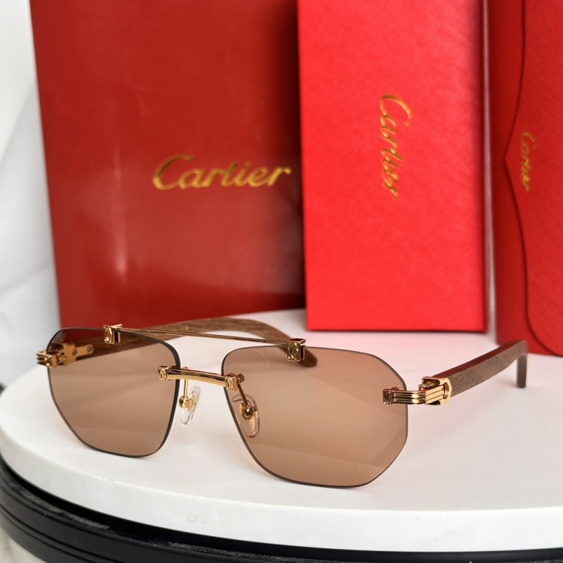 Cartier Glasses 08smh66 (4)