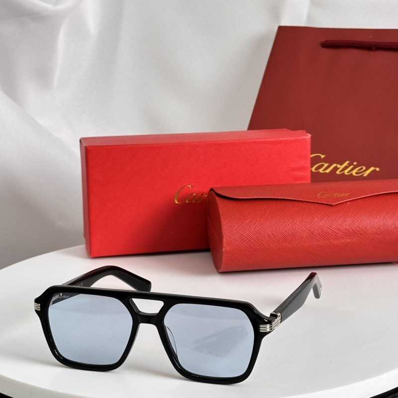 Cartier Glasses 08smh67 (3)