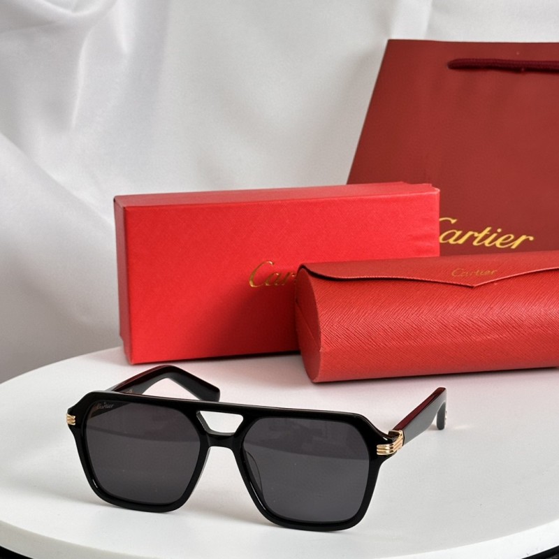 Cartier Glasses 08smh67 (4)