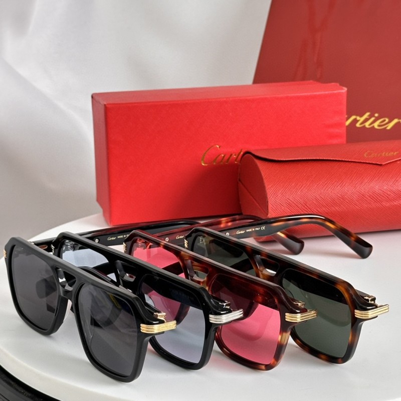 Cartier Glasses 08smh67 (6)