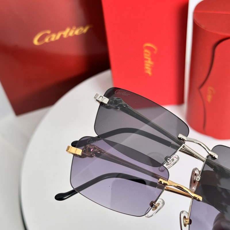 Cartier Glasses 08smh68 (5)