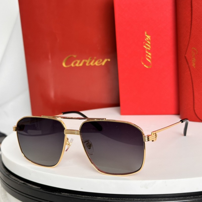 Cartier Glasses 08smh69 (1)