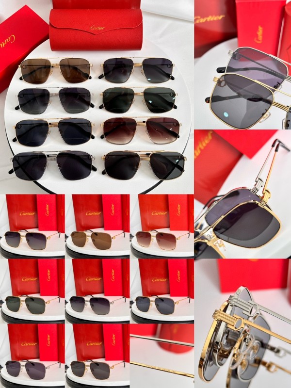 Cartier Glasses 08smh69 (10)