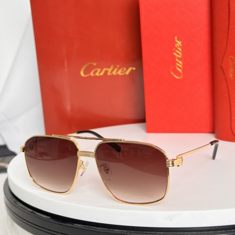 Cartier Glasses 08smh69 (3)