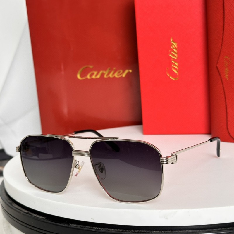 Cartier Glasses 08smh69 (5)