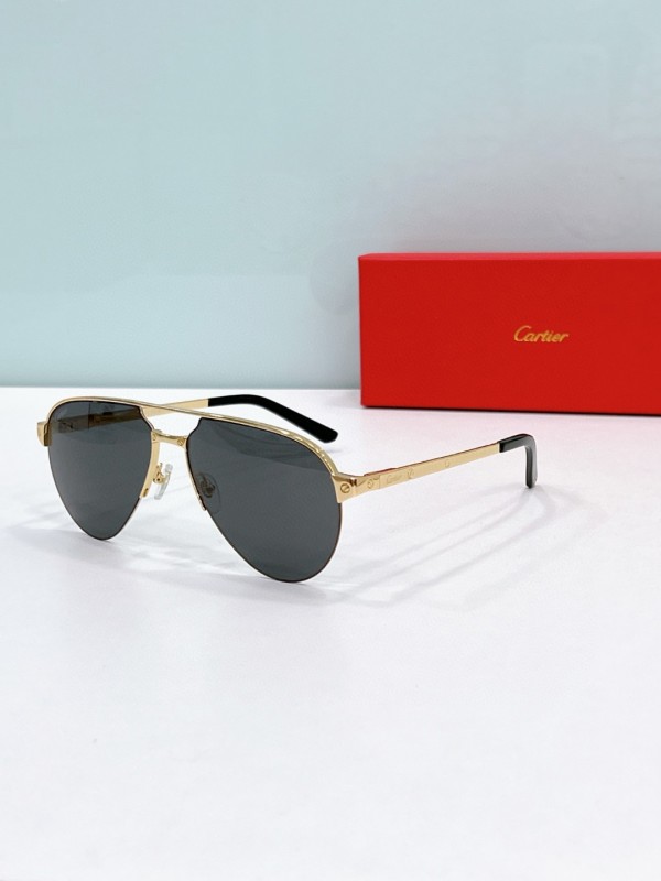 Cartier Glasses 08smh70 (5)