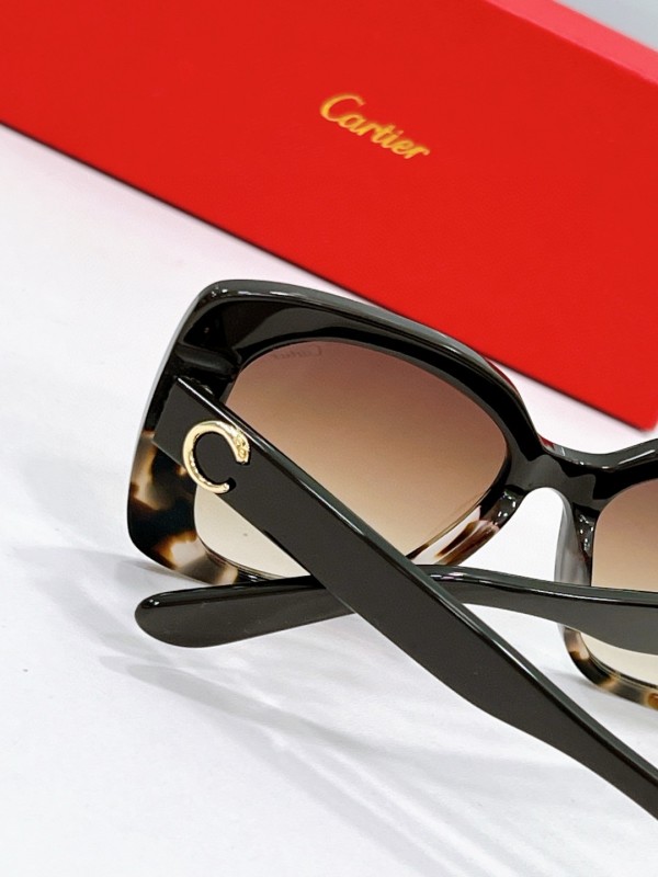 Cartier Glasses 08smh71 (7)