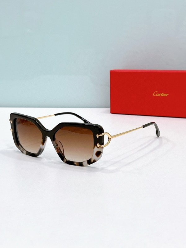 Cartier Glasses 08smh73 (1)