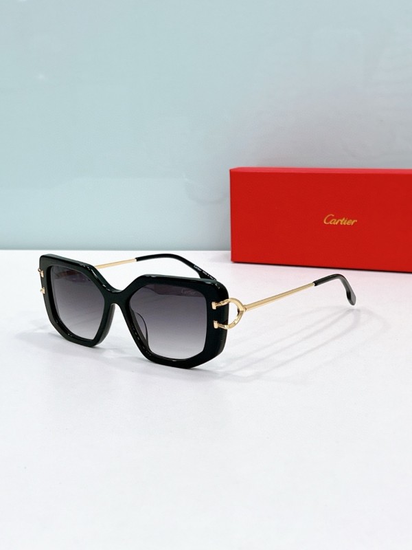 Cartier Glasses 08smh73 (2)