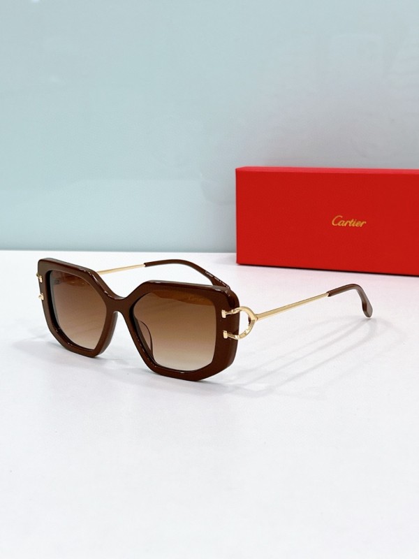 Cartier Glasses 08smh73 (3)