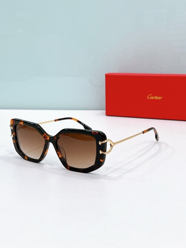 Cartier Glasses 08smh73 (7)