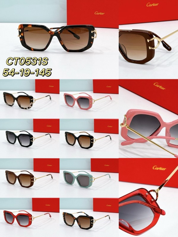 Cartier Glasses 08smh73 (9)