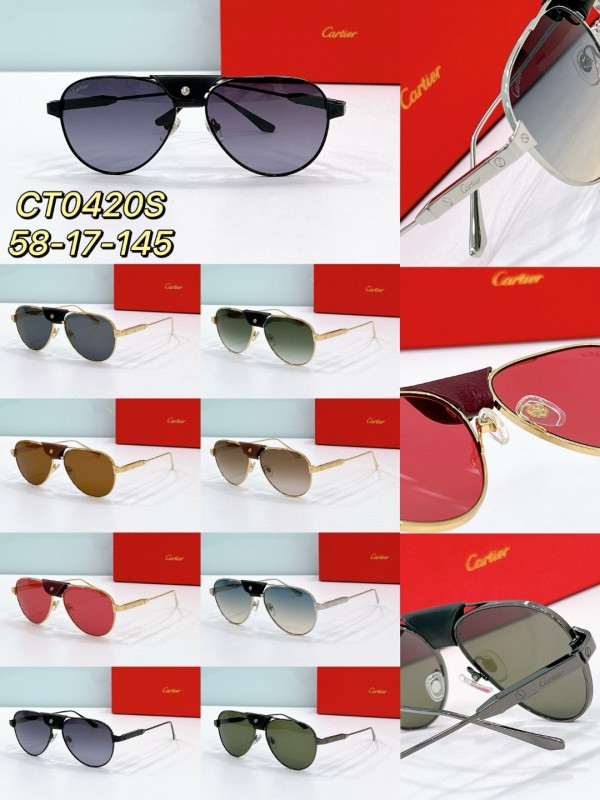 Cartier Glasses 08smh74 (9)