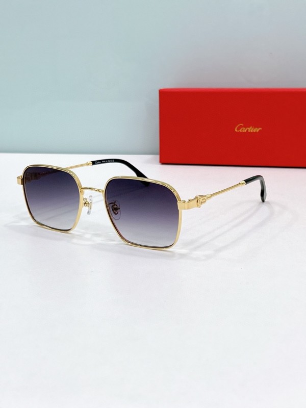 Cartier Glasses 08smh75 (1)