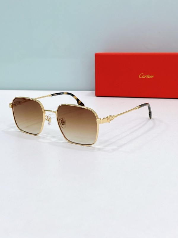 Cartier Glasses 08smh75 (3)