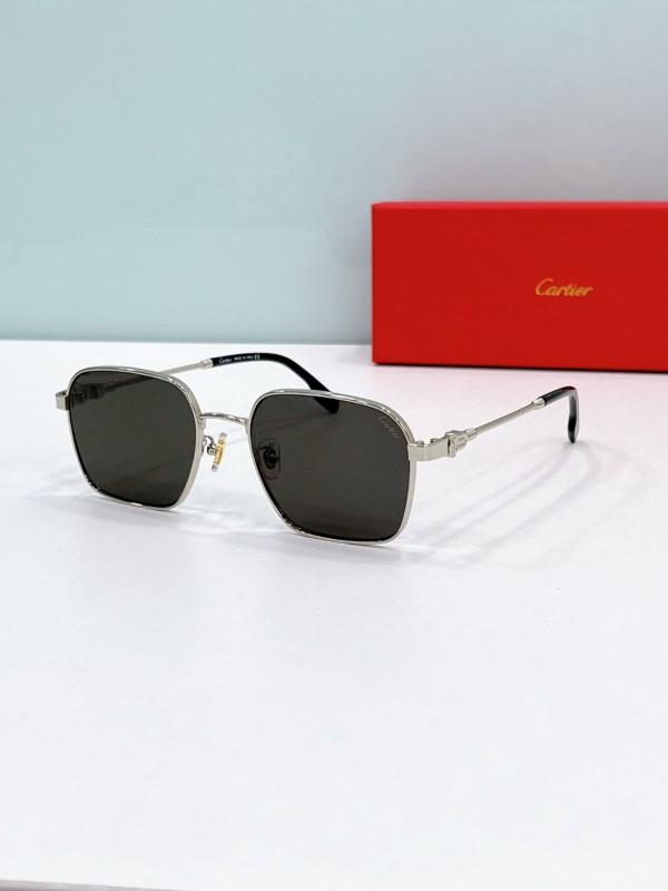 Cartier Glasses 08smh75 (4)