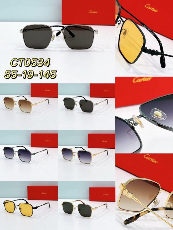 Cartier Glasses 08smh75 (9)