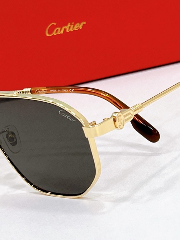 Cartier Glasses 08smh76 (7)