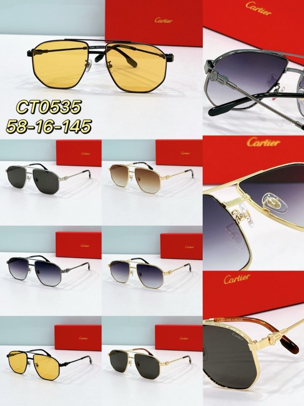 Cartier Glasses 08smh76 (9)