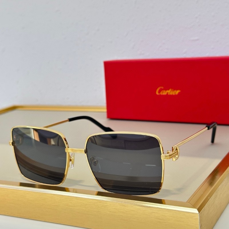 Cartier Glasses 08smh77 (1)