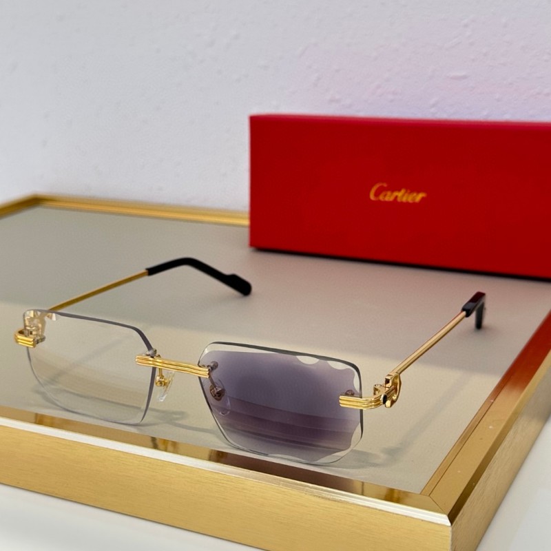 Cartier Glasses 08smh78 (1)