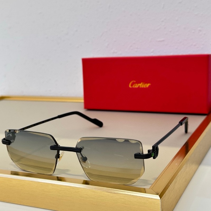 Cartier Glasses 08smh78 (4)