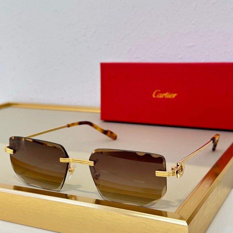 Cartier Glasses 08smh78 (5)