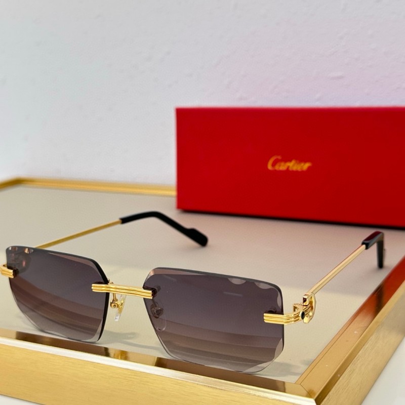 Cartier Glasses 08smh78 (6)