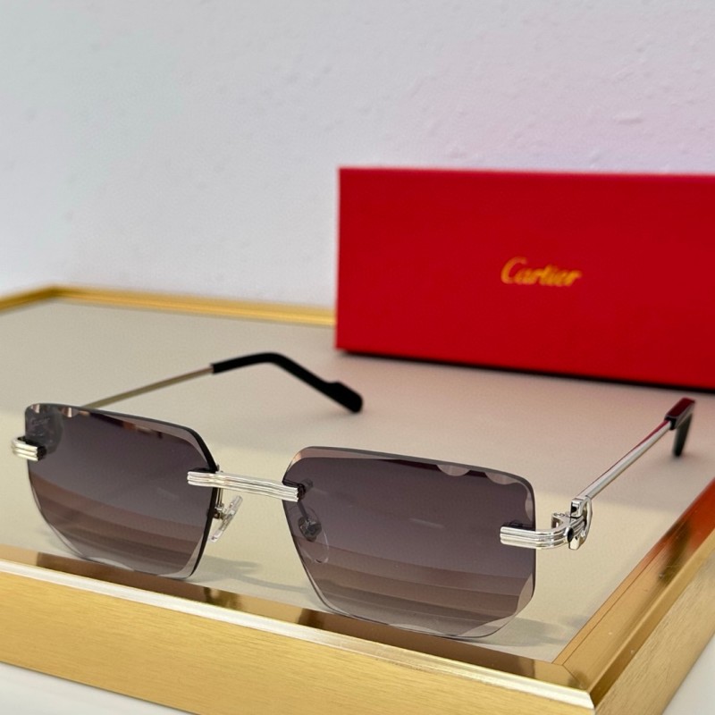 Cartier Glasses 08smh78 (7)