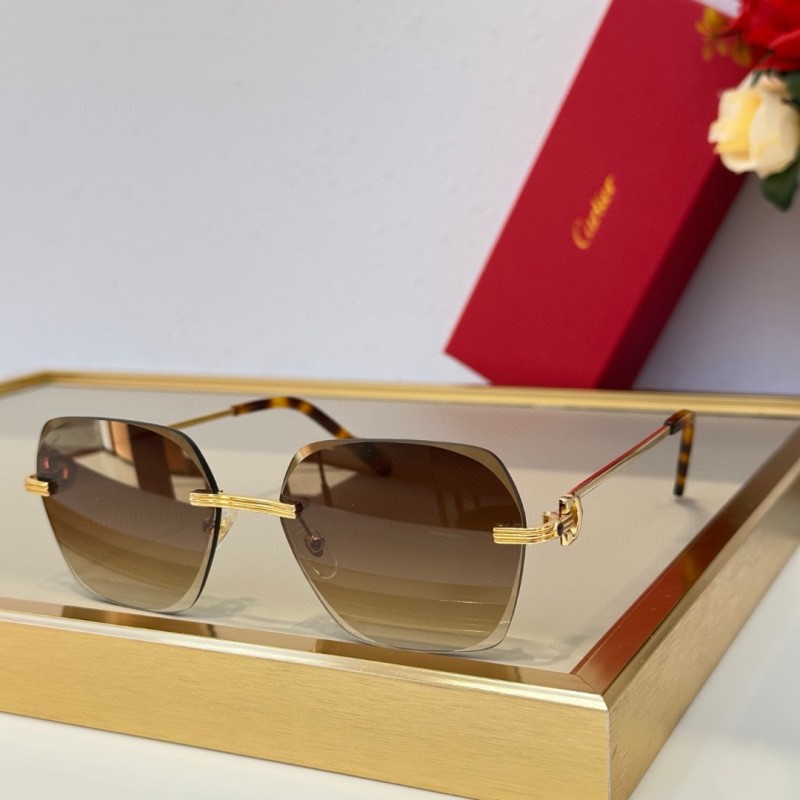 Cartier Glasses 08smh79 (3)