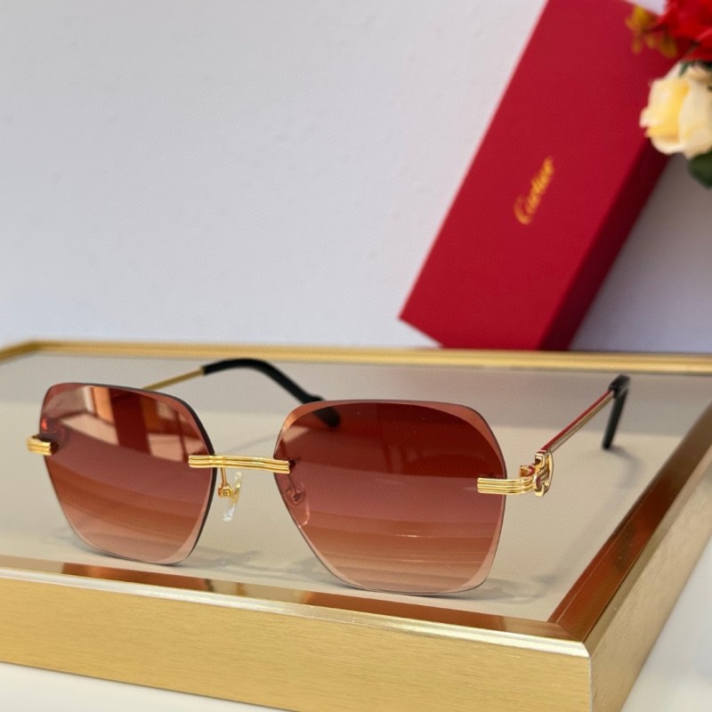 Cartier Glasses 08smh79 (5)