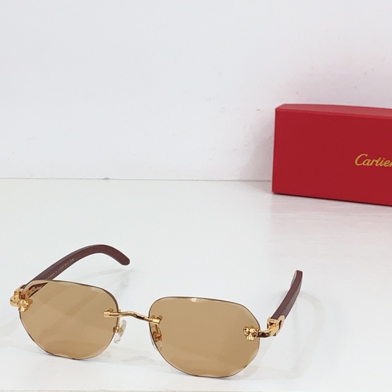 Cartier Glasses 08smh80 (1)
