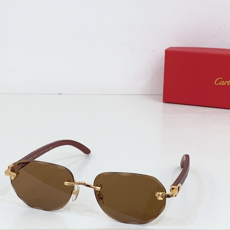 Cartier Glasses 08smh80 (5)
