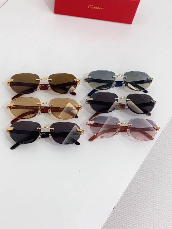 Cartier Glasses 08smh80 (9)