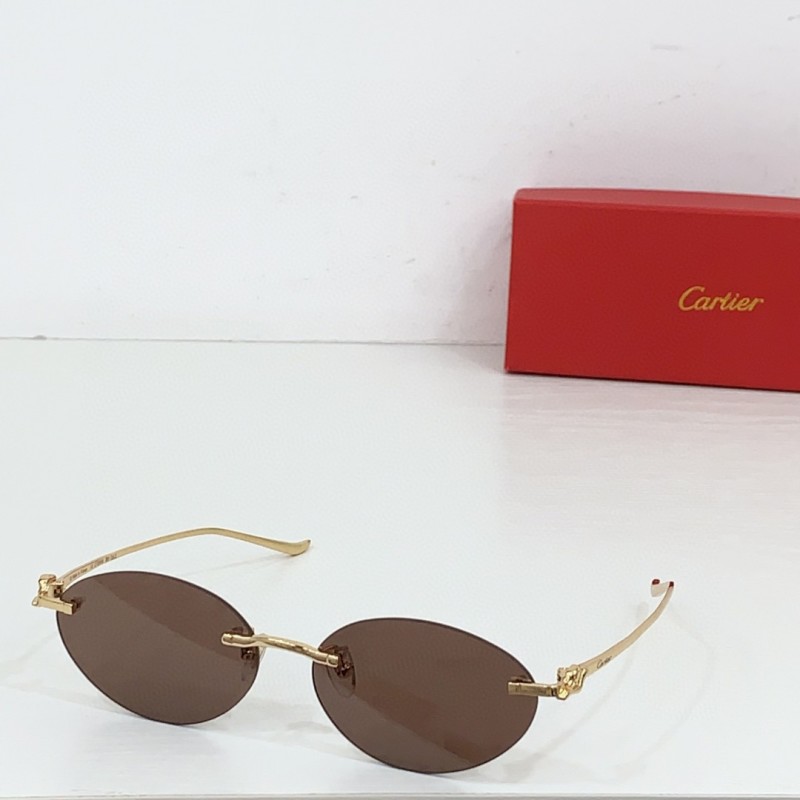 Cartier Glasses 08smh83 (1)