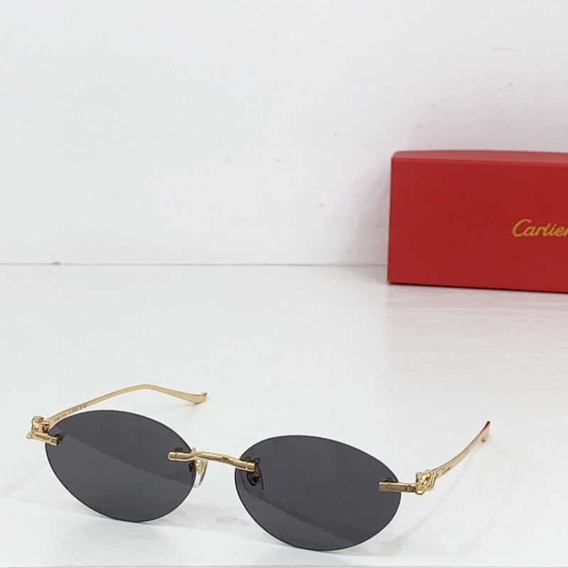 Cartier Glasses 08smh83 (7)
