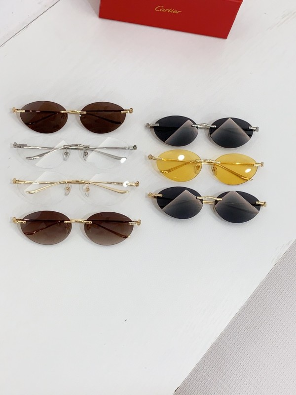 Cartier Glasses 08smh83 (9)