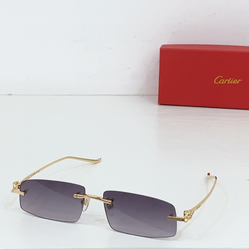 Cartier Glasses 08smh84 (1)