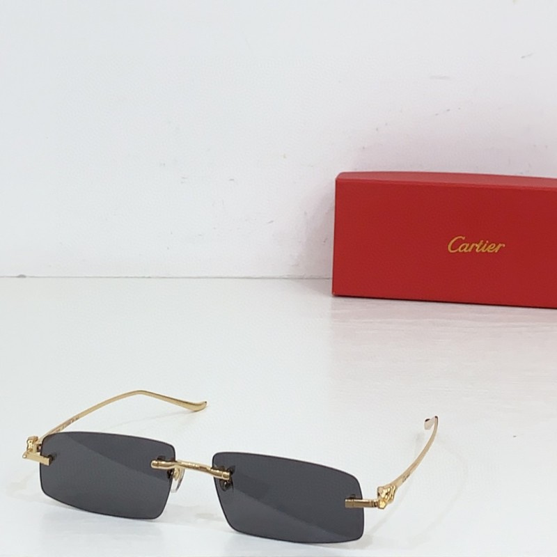 Cartier Glasses 08smh84 (4)