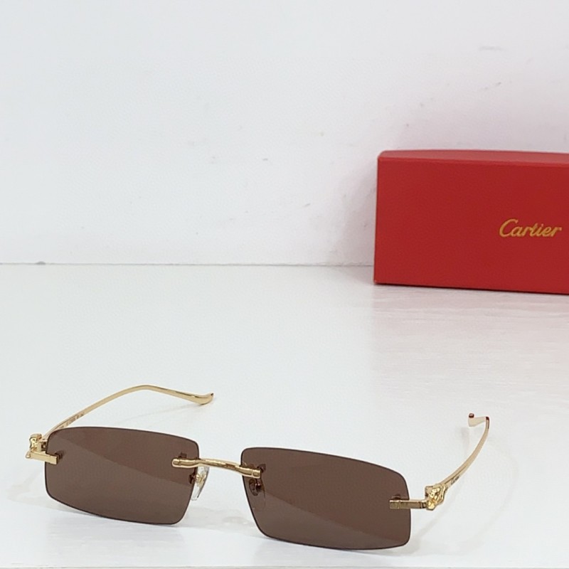 Cartier Glasses 08smh84 (8)